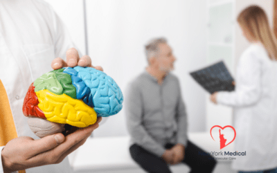 Neuroinflammation and Cognitive Decline: What Every New Yorker Needs to Know